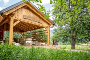 Bled Winter Trip: Vintgar Gorge Waterfall & Slovenian Lunch