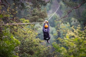 Bled: Exklusive private Tour mit Zipline Dolinka