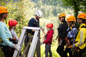 Bled: Eksklusiv privat tur med Zipline Dolinka