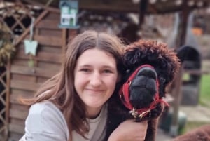 Walking with alpacas - Domačija Loncnar - Bohinj