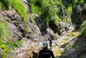 Bovec: passeio de canyoning extremo no desfiladeiro Predelica (nível 3)