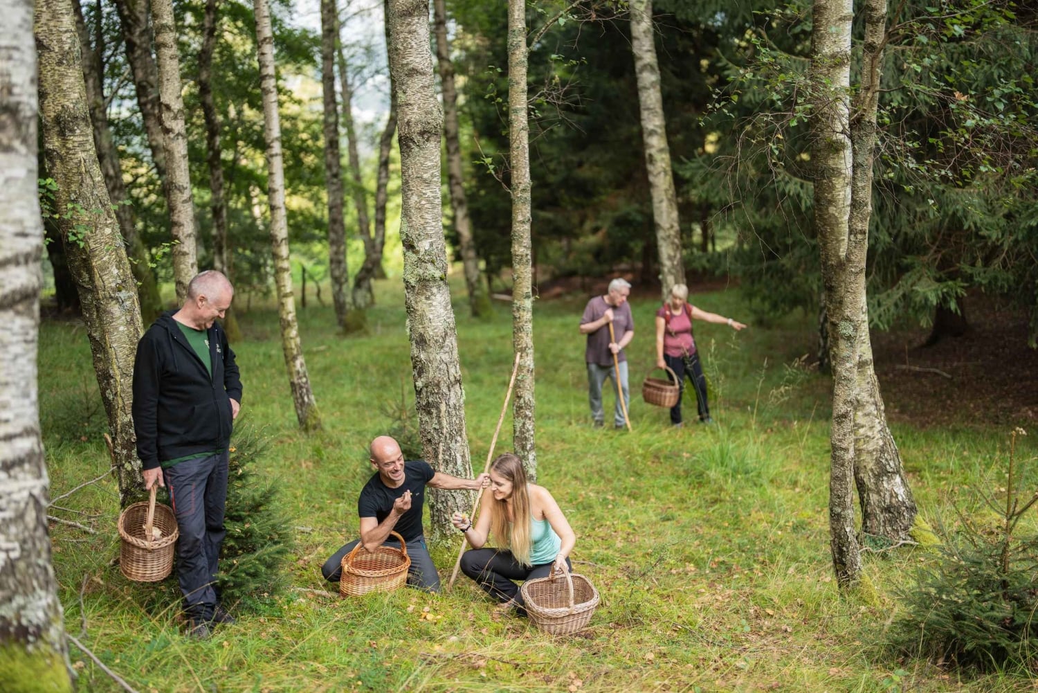Bovec: cheira a cogumelos