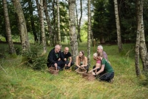 Bovec: cheira a cogumelos