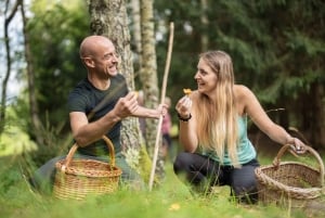 Bovec: cheira a cogumelos