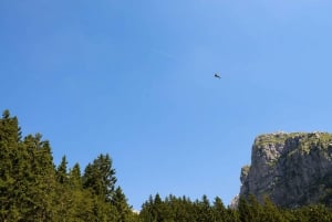 Bovec: Aventura en tirolina bajo el monte Kanin