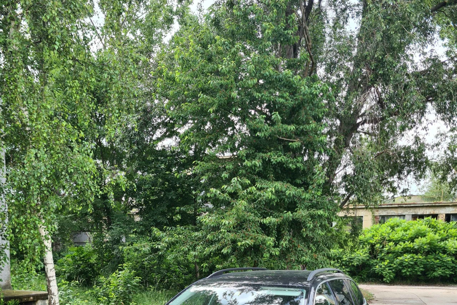 Budapest: Privat transfer till Ljubljana eller Ljubljana till BUD