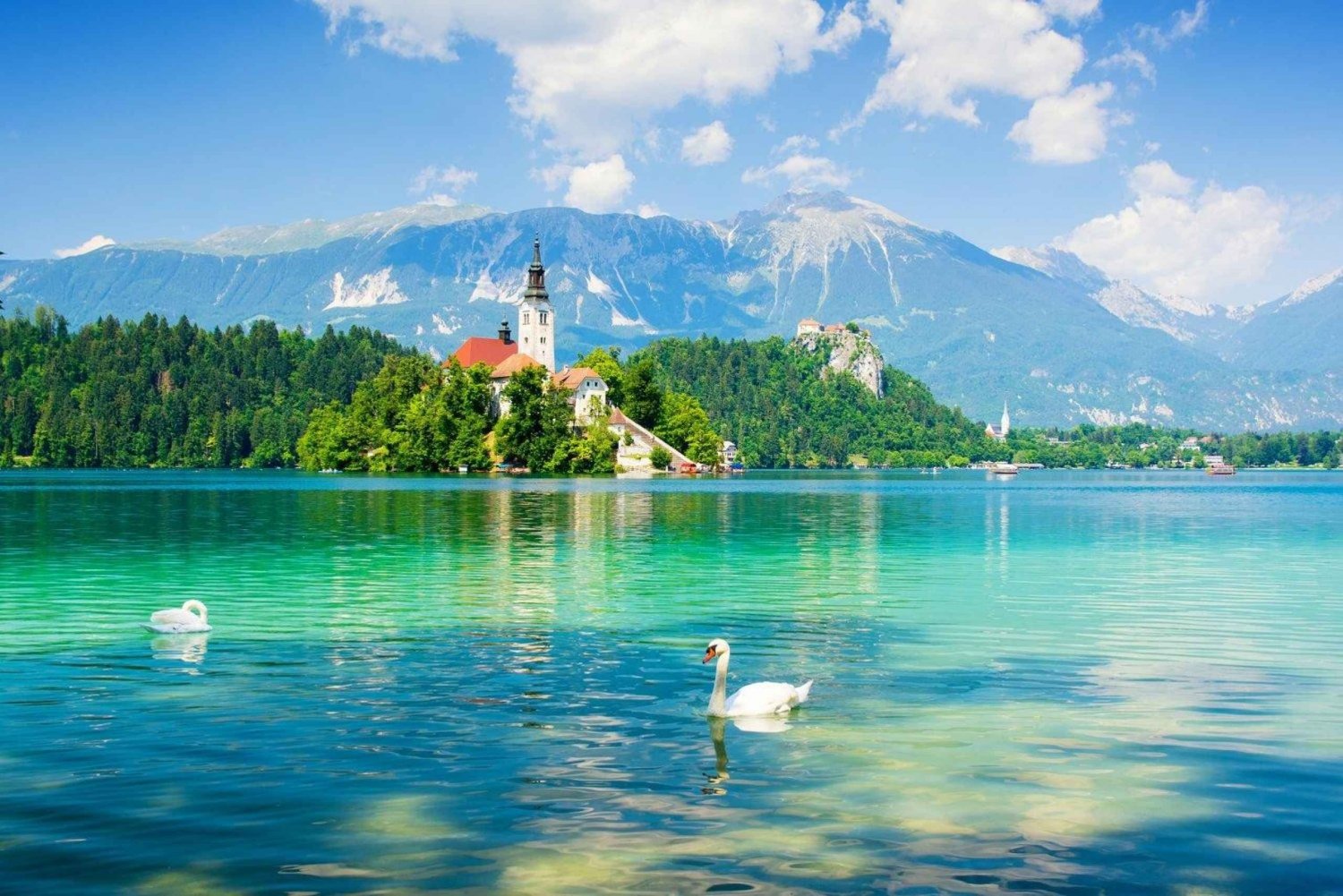 Da Lubiana: Tour di un giorno sul lago di Bled