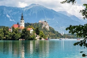 Vanuit Ljubljana: Dagtocht naar het meer van Bled