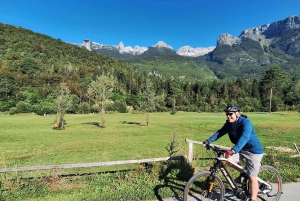 Excursión en bicicleta eléctrica por el valle de Soča: El explorador definitivo