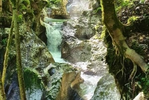 Excursion en E-bike dans les gorges de la Grande Soča et la forêt aquatique de Šunik