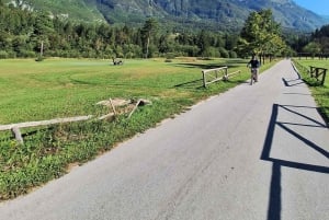 ヴィリェとボカ滝への電動自転車ツアー