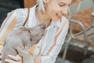 Ljubljana: Ljubljana Foodtour von Sigismundi, Essen & Trinken