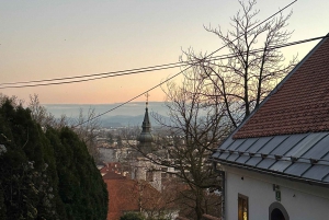 Проведите день, полный красоты Любляны, Словения.