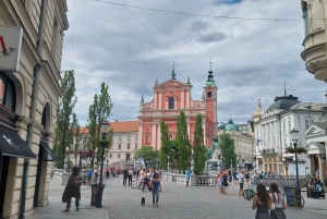 Erkunde Ljubljana mit einem lizenzierten Tourguide