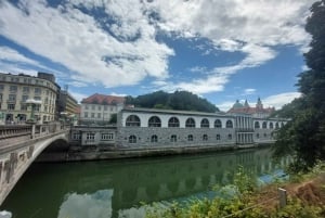 Explore Ljubljana com um guia de turismo licenciado