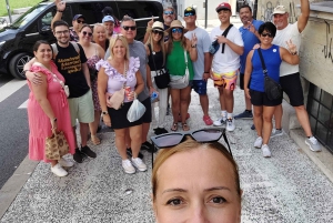 Esplora Lubiana con una guida turistica autorizzata