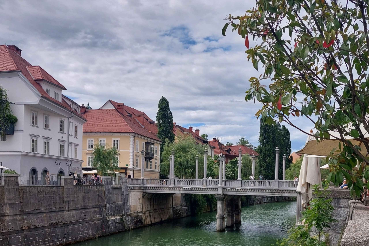 Utforska Ljubljana med en lokal licensierad guide PRIVAT