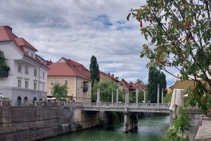 Utforska Ljubljana med en lokal licensierad guide PRIVAT