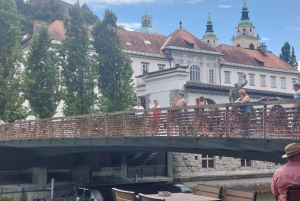 Utforska Ljubljana med en lokal licensierad guide PRIVAT