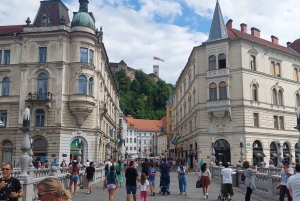 Utforska Ljubljana med en lokal licensierad guide PRIVAT