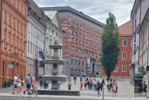 Utforska Ljubljana med en lokal licensierad guide PRIVAT