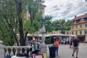 Utforska Ljubljana med en lokal licensierad guide PRIVAT