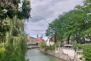 Utforska Ljubljana med en lokal licensierad guide PRIVAT