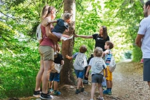 Family adventure in Enchanted forest