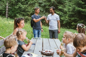 Family adventure in Enchanted forest