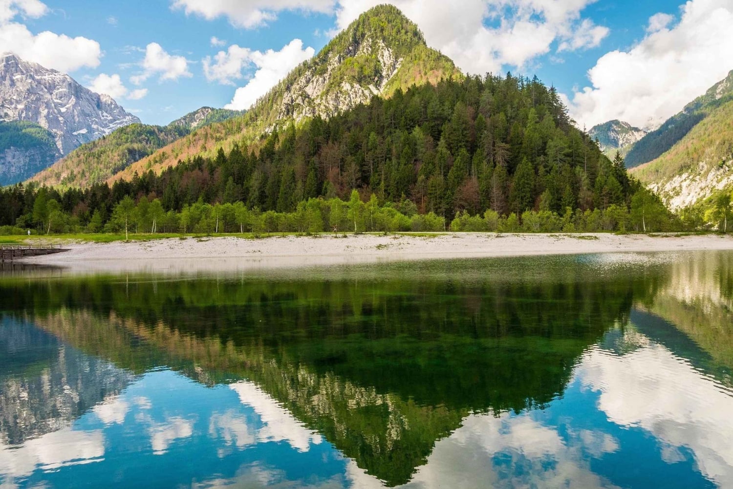 Florence:Private Transfer to Vienna with Sightseeing+tickets