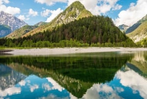 Florence:Private Transfer to Vienna with Sightseeing+tickets