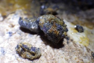 Från Bled: Underjordisk kajakpaddling under en hel dag