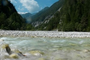 Z Bled: jednodniowa wycieczka z przewodnikiem do Alp Julijskich i Doliny Trenta