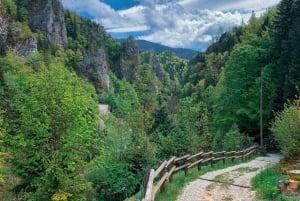 Au départ de Bled : Randonnée d'une demi-journée dans la rivière Crystal