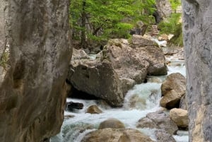 Fra Bled: Halvdags Crystal River-vandring