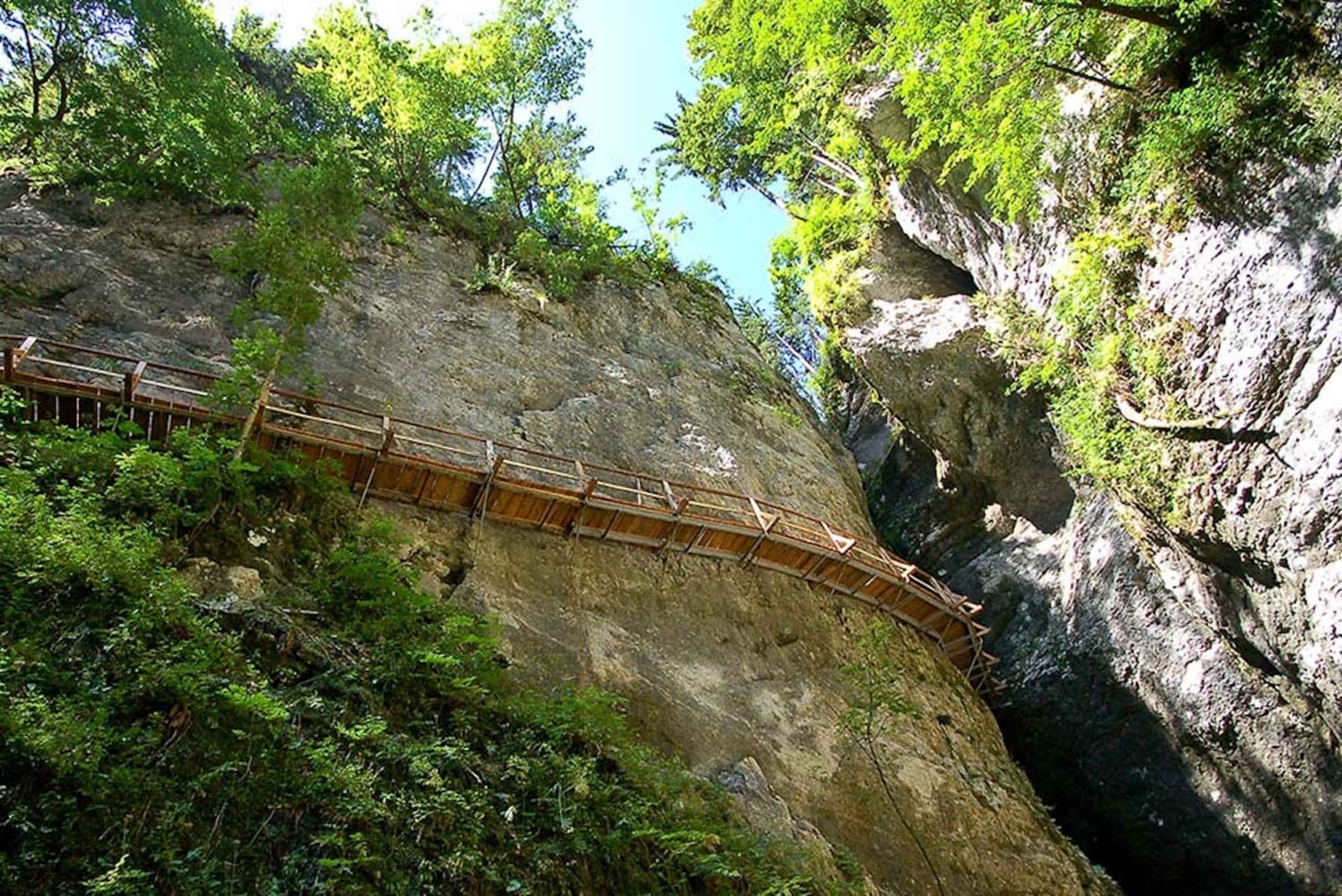 Da Bled: escursione di mezza giornata sul sentiero della gola di Pokljuka