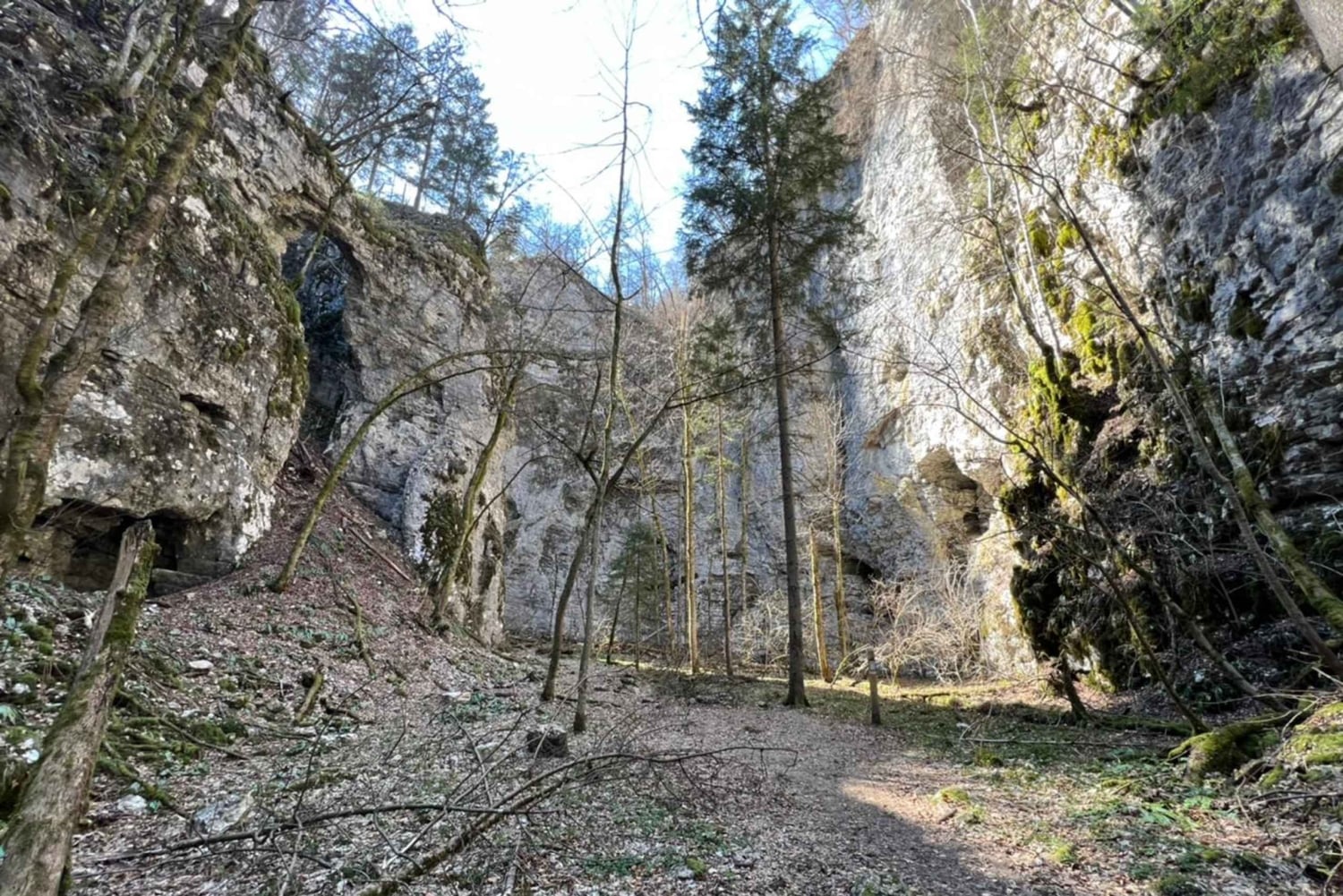 Da Bled: escursione di mezza giornata sul sentiero della gola di Pokljuka
