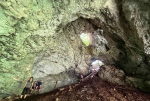 Da Bled: escursione di mezza giornata sul sentiero della gola di Pokljuka