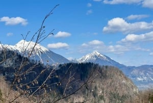 Da Bled: escursione di mezza giornata sul sentiero della gola di Pokljuka