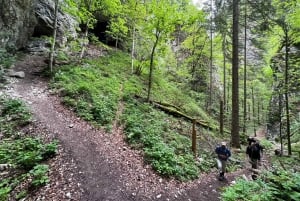 Da Bled: escursione di mezza giornata sul sentiero della gola di Pokljuka