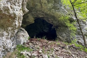 Da Bled: escursione di mezza giornata sul sentiero della gola di Pokljuka