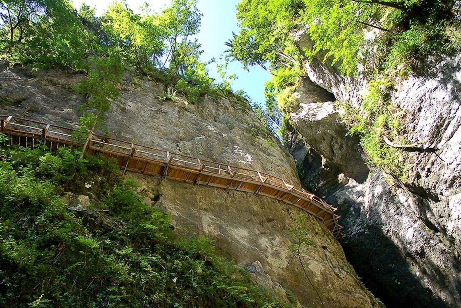 Van Bled: Pokljuka Gorge Trail-wandeling van een halve dag