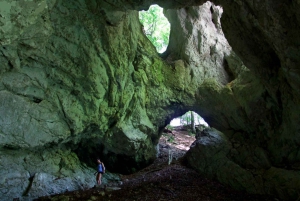 From Bled: Half-Day Pokljuka Gorge Trail Hike