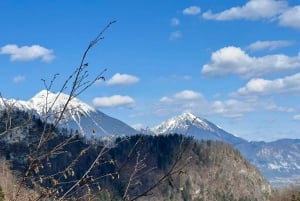 Au départ de Bled : Randonnée d'une demi-journée sur le sentier des gorges de Pokljuka