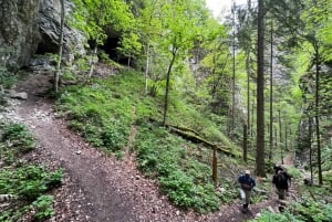 Au départ de Bled : Randonnée d'une demi-journée sur le sentier des gorges de Pokljuka