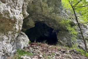 Fra Bled: Halvdags vandretur på Pokljuka Gorge Trail Trail
