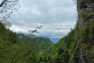 Desde Bled: Ruta de medio día por el desfiladero de Pokljuka