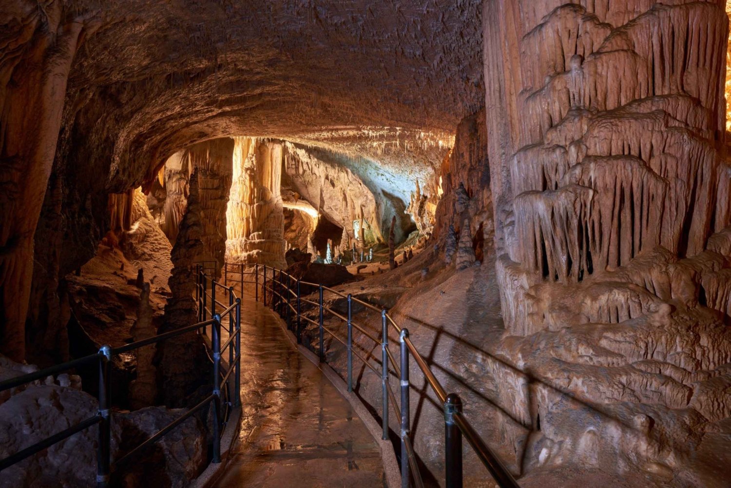 Au départ de Bled : Excursion d'une journée à la grotte de Postojna et au château de Predjama