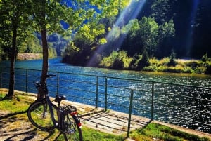From Bled: Self-Guided E-Bike Tour of Vintgar Gorge
