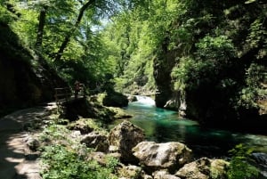 From Bled: Self-Guided E-Bike Tour to Vintgar Gorge